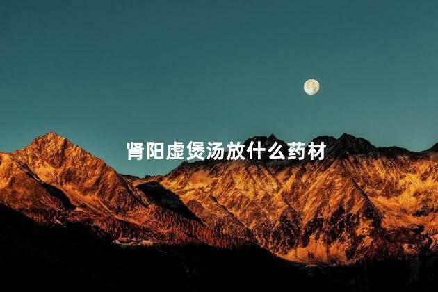 肾阳虚煲汤放什么药材