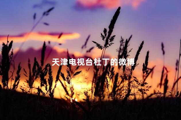 天津电视台杜丁的微博