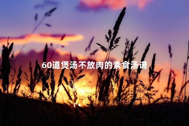 60道煲汤不放肉的素食汤谱