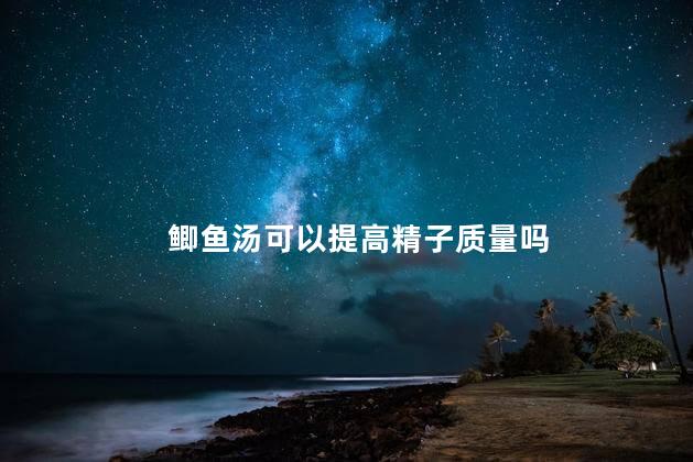 鲫鱼汤可以提高精子质量吗